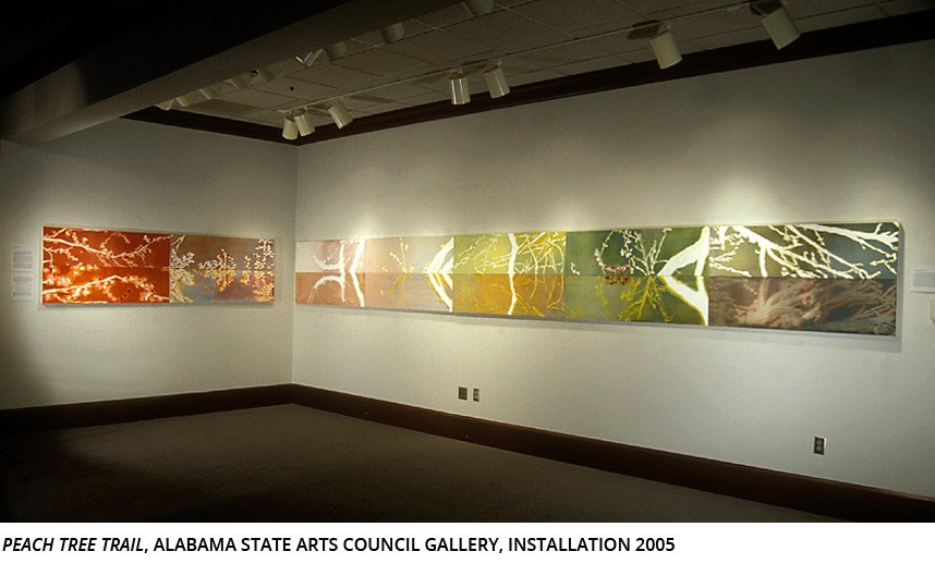 Alabama State Arts Council Gallery, Installation 2005